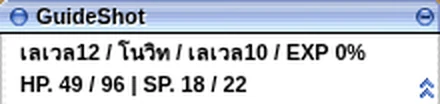 หน้าต่างสถานะมุมซ้ายบน แสดง เลเวล12 / โนวิซ / เลเวล10